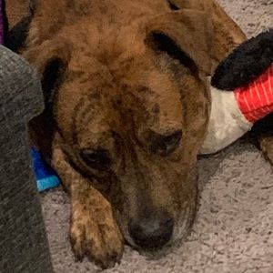 Meet your Posher, Kaia